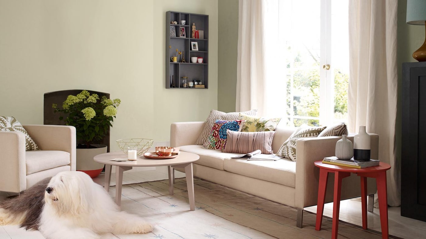 Painting & Decorating